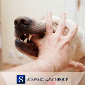 Arizona Dog Bite Lawyer Near You 